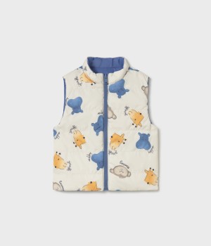 Γιλέκο αναστρέψιμο