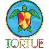 Tortuekids