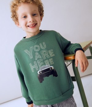 Πουλόβερ μεταξοτυπία "coche" Πουλόβερ μεταξοτυπία "coche"