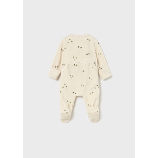 Φορμάκι βελουτέ Φορμάκι βελουτέ