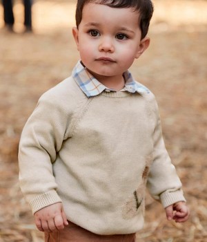 Ζέρσευ ζωάκι